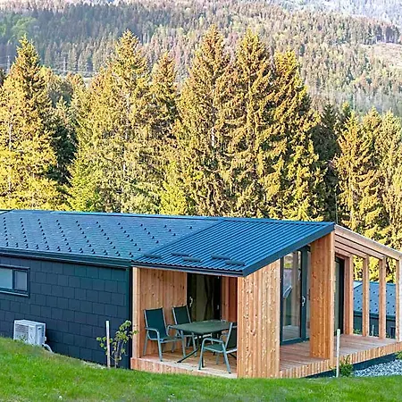 Modern With Air Conditioning 2* Kotschach-Mauthen